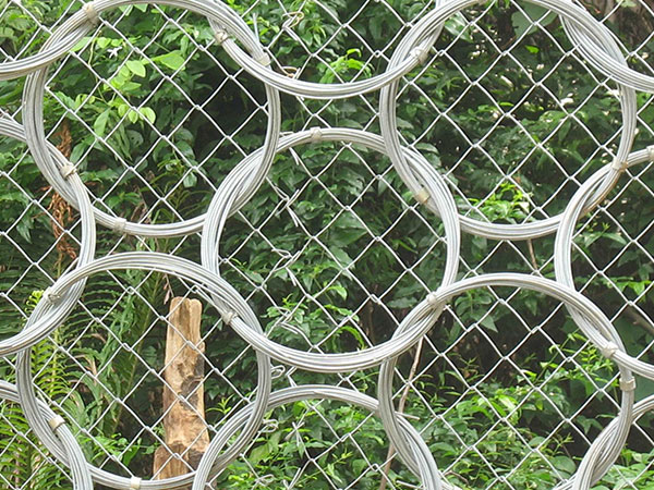 RXI-025被动防护网 - 河北国隆边坡防护工程有限公司图片3