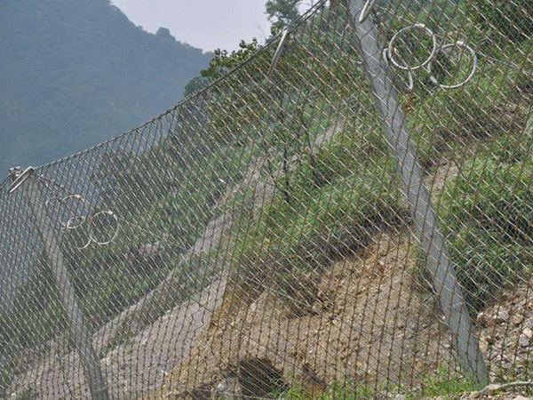 RX-050被动防护网 - 河北国隆边坡防护工程有限公司图片2