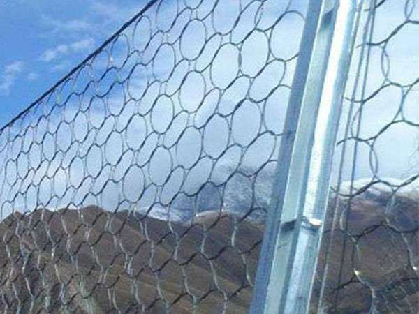 RXI-150被动防护网 - 河北国隆边坡防护工程有限公司图片4