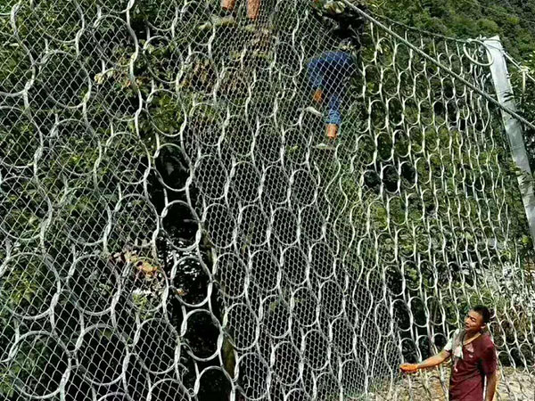 RXI-200被动防护网 - 河北国隆边坡防护工程有限公司图片4