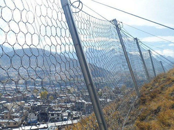 AXI-030被动防护网 - 河北国隆边坡防护工程有限公司图片2