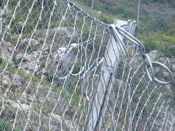 CXI-030被动防护网 - 河北国隆边坡防护工程有限公司图片2
