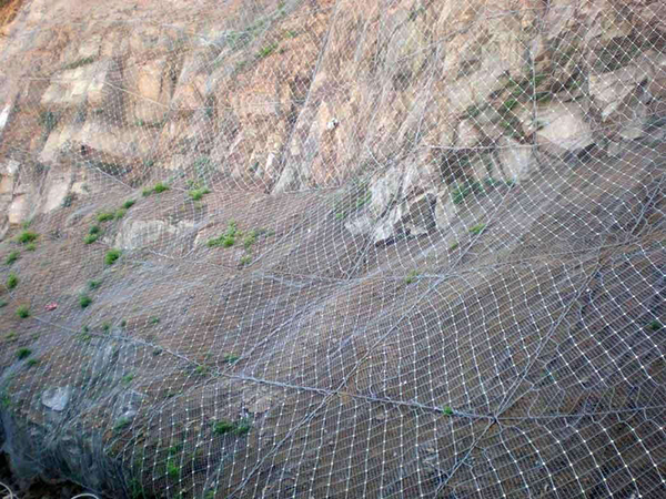 GAR2主动防护网 - 河北国隆边坡防护工程有限公司图片2