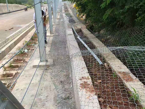 刚性防护网 - 河北国隆边坡防护工程有限公司图片4