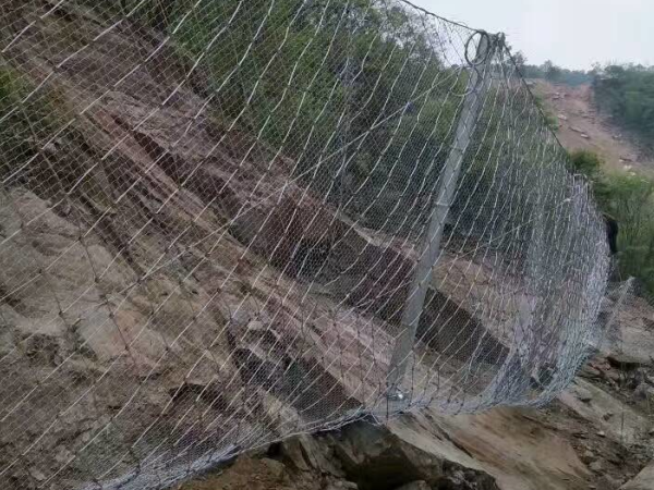 AXI-015被动防护网 - 河北国隆边坡防护工程有限公司图片3
