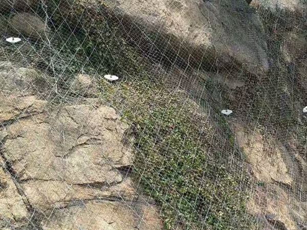 GSS2A主动防护网 - 河北国隆边坡防护工程有限公司图片2