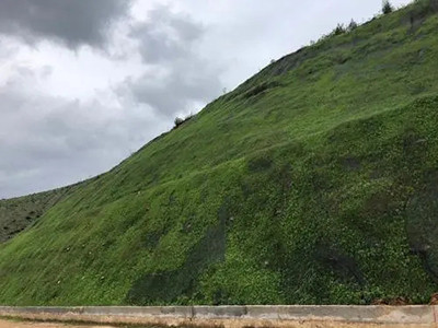 矿山复绿 - 河北国隆边坡防护工程有限公司图片5