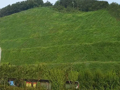 边坡绿化 - 河北国隆边坡防护工程有限公司图片4